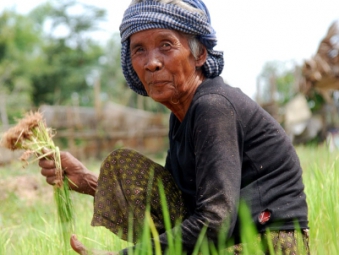 Cambodian Woman Farmer